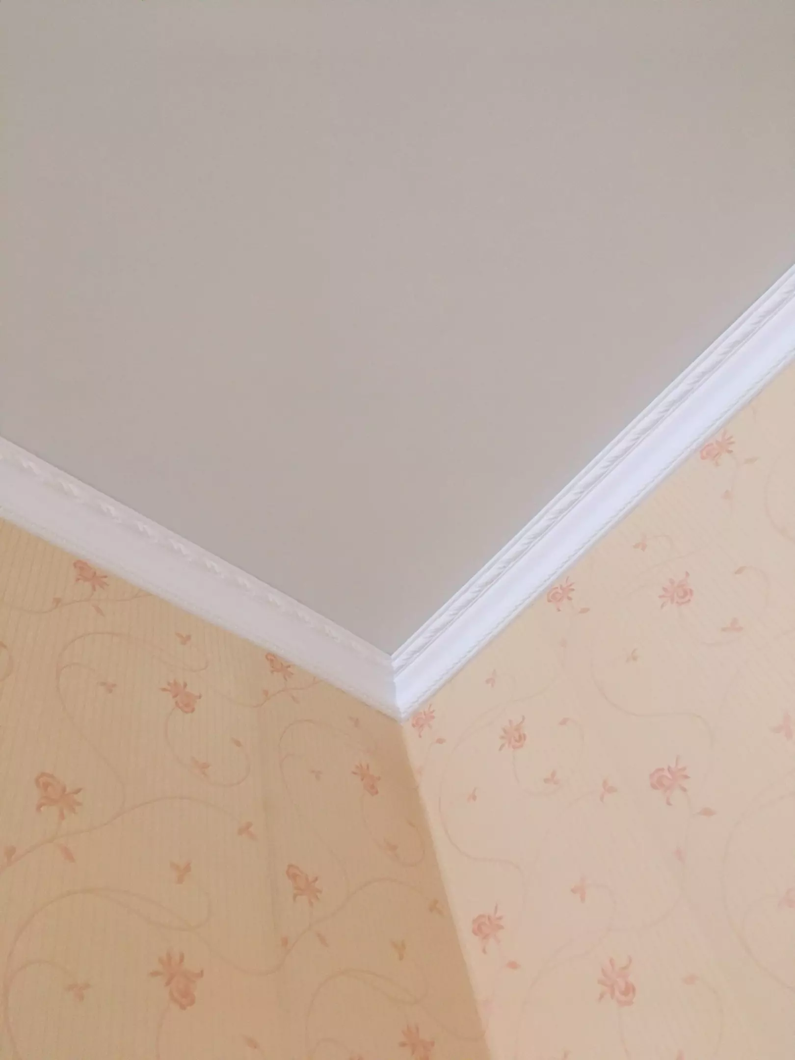 Киров, Ленина, 102в, фото 3