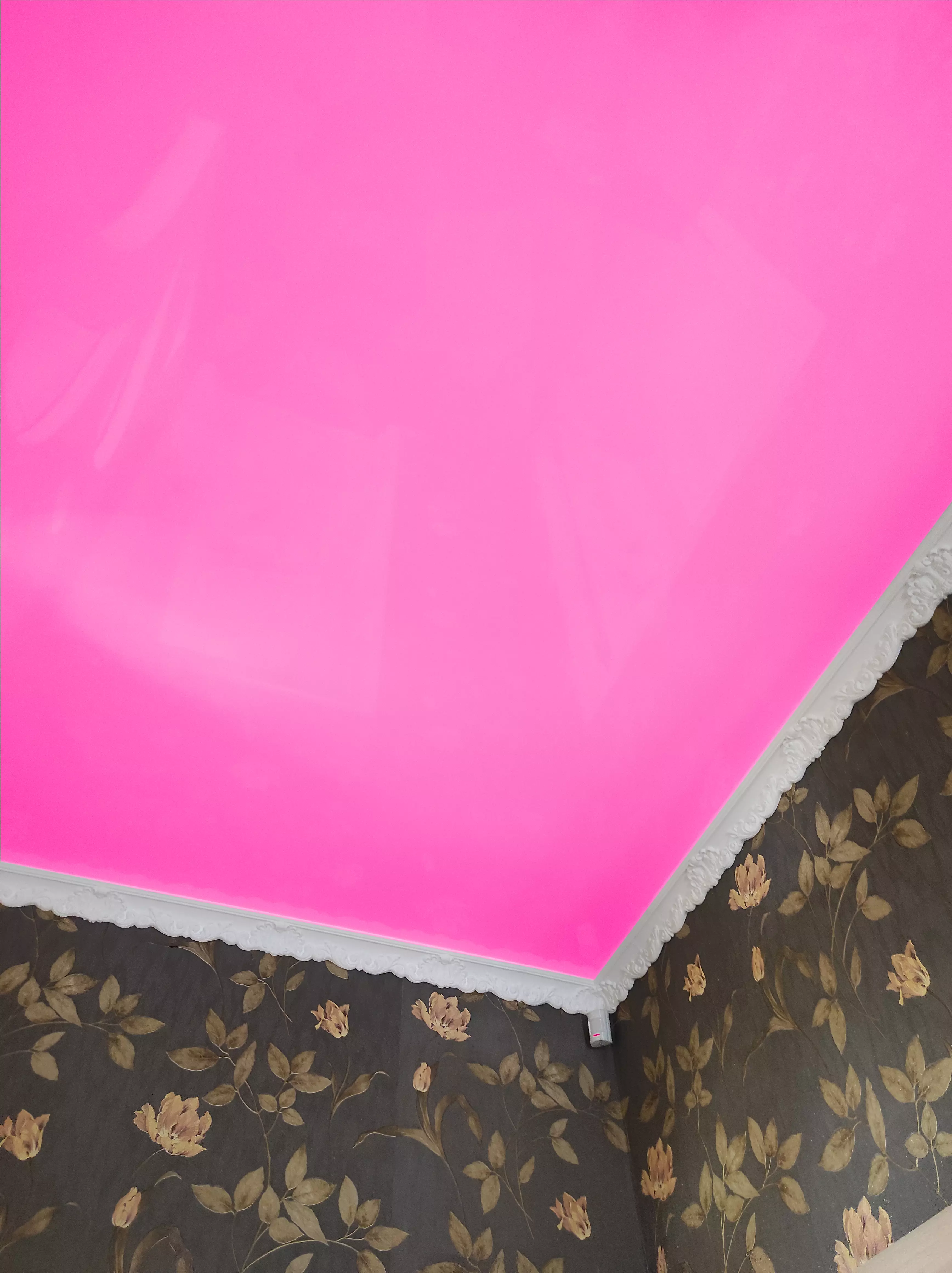 Кострома, Спасокукоцкого, 29 к4, фото 2