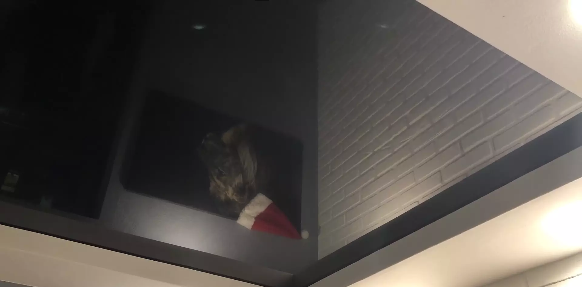 Рыбинск, улица Академика Губкина, 2, фото 3